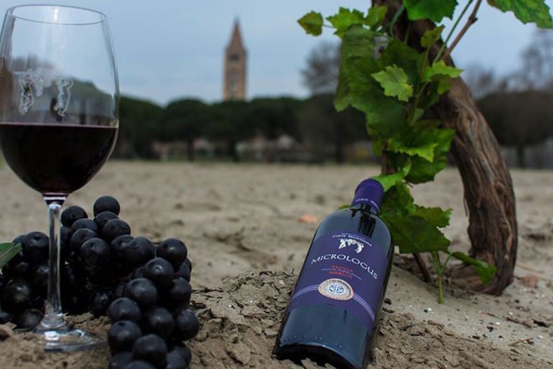 Bosco Eliceo wine - Voghiera | Secret World Trip Planner