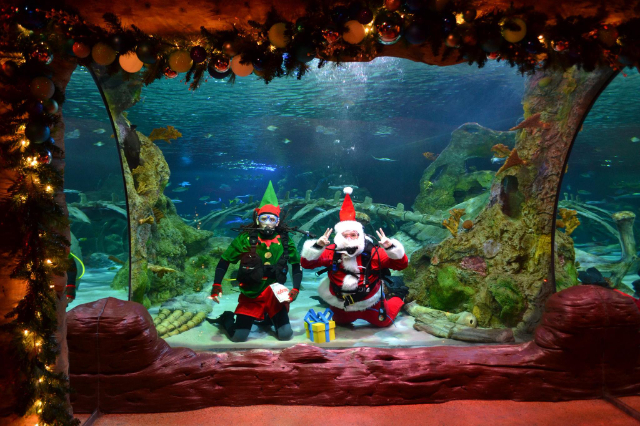 SEA LIFE Orlando Akvarium - Orlando | Secret World Trip Planner