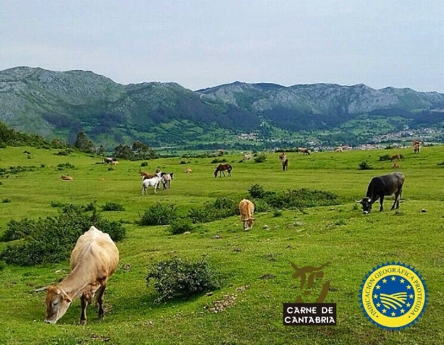 Viande de Cantabrie - Tudanca | Secret World Trip Planner