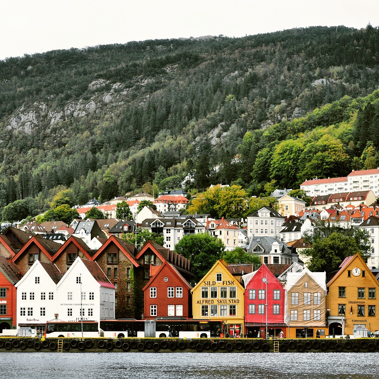 Ribbe in Bergen, Norway’s traditional Christmas food - Bergen | Secret World Trip Planner