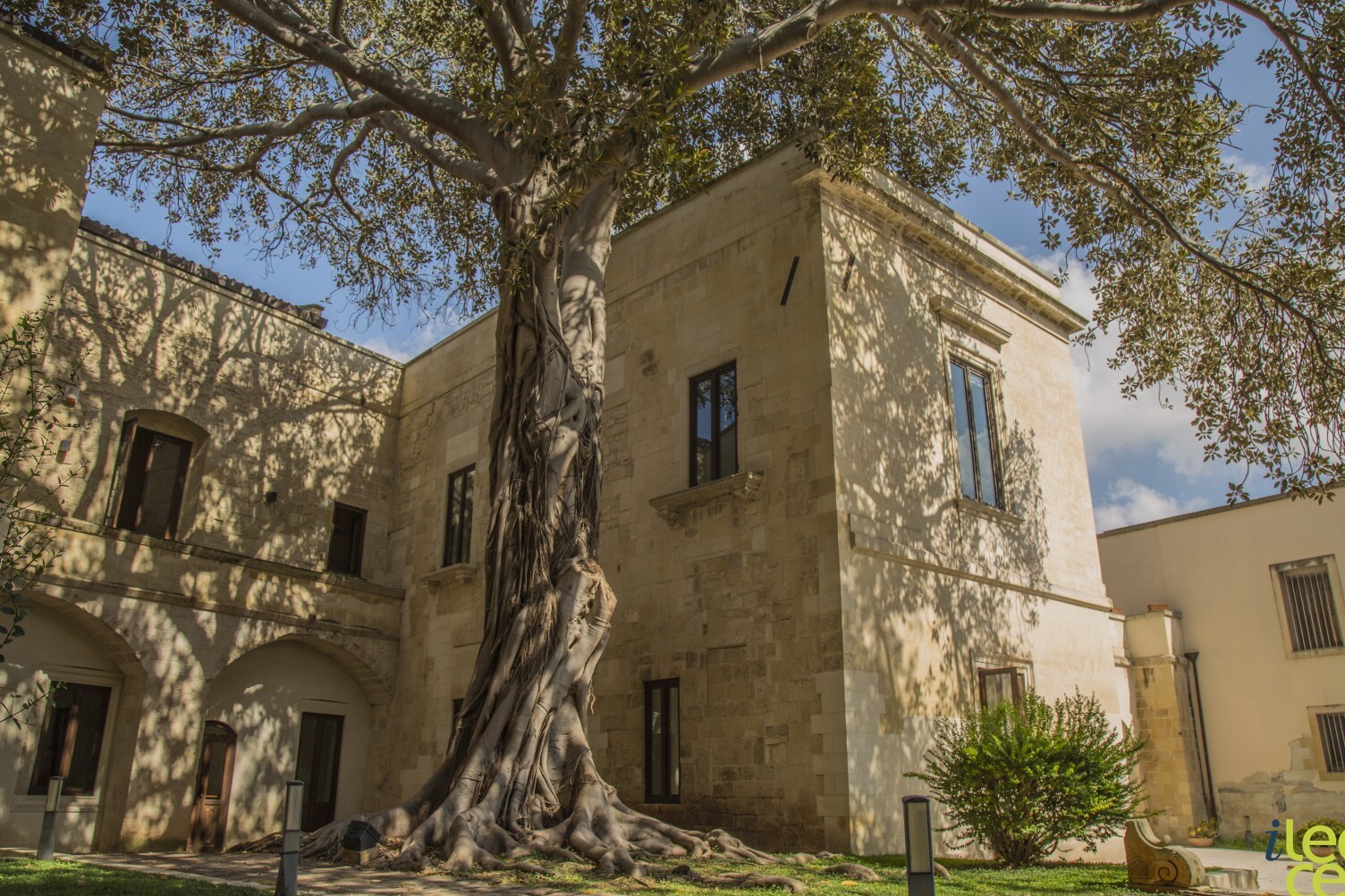 Lecce et le ficus géant - Lecce | Secret World Trip Planner