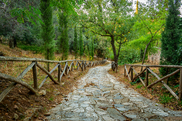 Kaisariani Manastırı ve Ormanı, - greece greece | Secret World Trip Planner