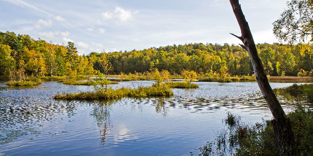 Přírodní rezervace Änggårdsbergen - Mölndal | Secret World Trip Planner