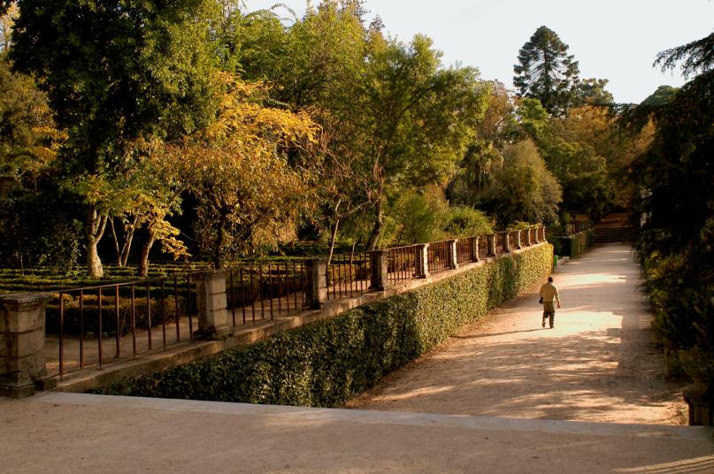 The University of Coimbra Botanical Gardens — Coimbra
