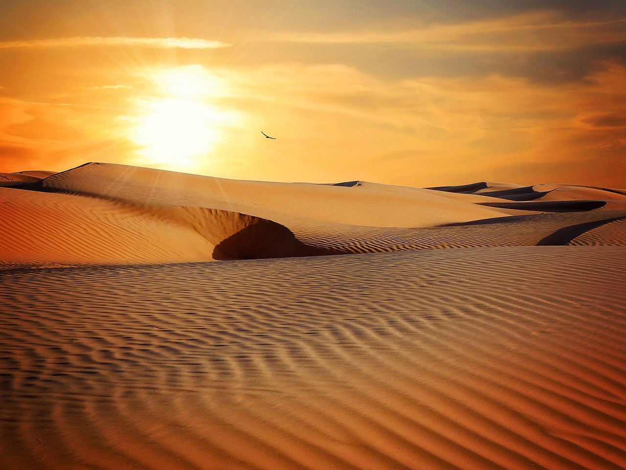 For a golden blanket of sand, make your way to Rauðasandur - Rauðisandur | Secret World Trip Planner