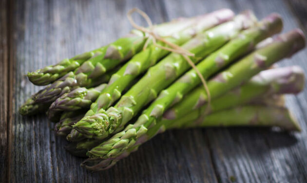 Hijau asparagus dari Altedo - Mesola | Secret World Trip Planner