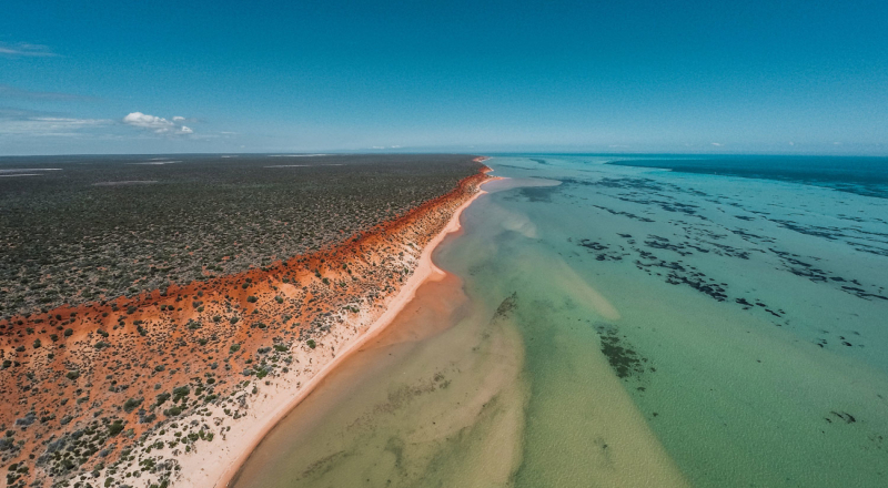 Shark Bay, Vestaustralien - Contea di Shark Bay | Secret World Trip Planner
