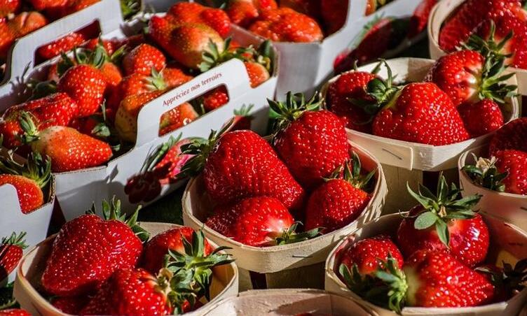 Lagosanto Strawberry - Lagosanto | Secret World Trip Planner