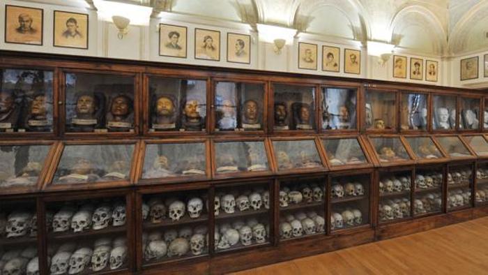 Lombroso Museo de antropoloxía criminal - Torino | Secret World Trip Planner