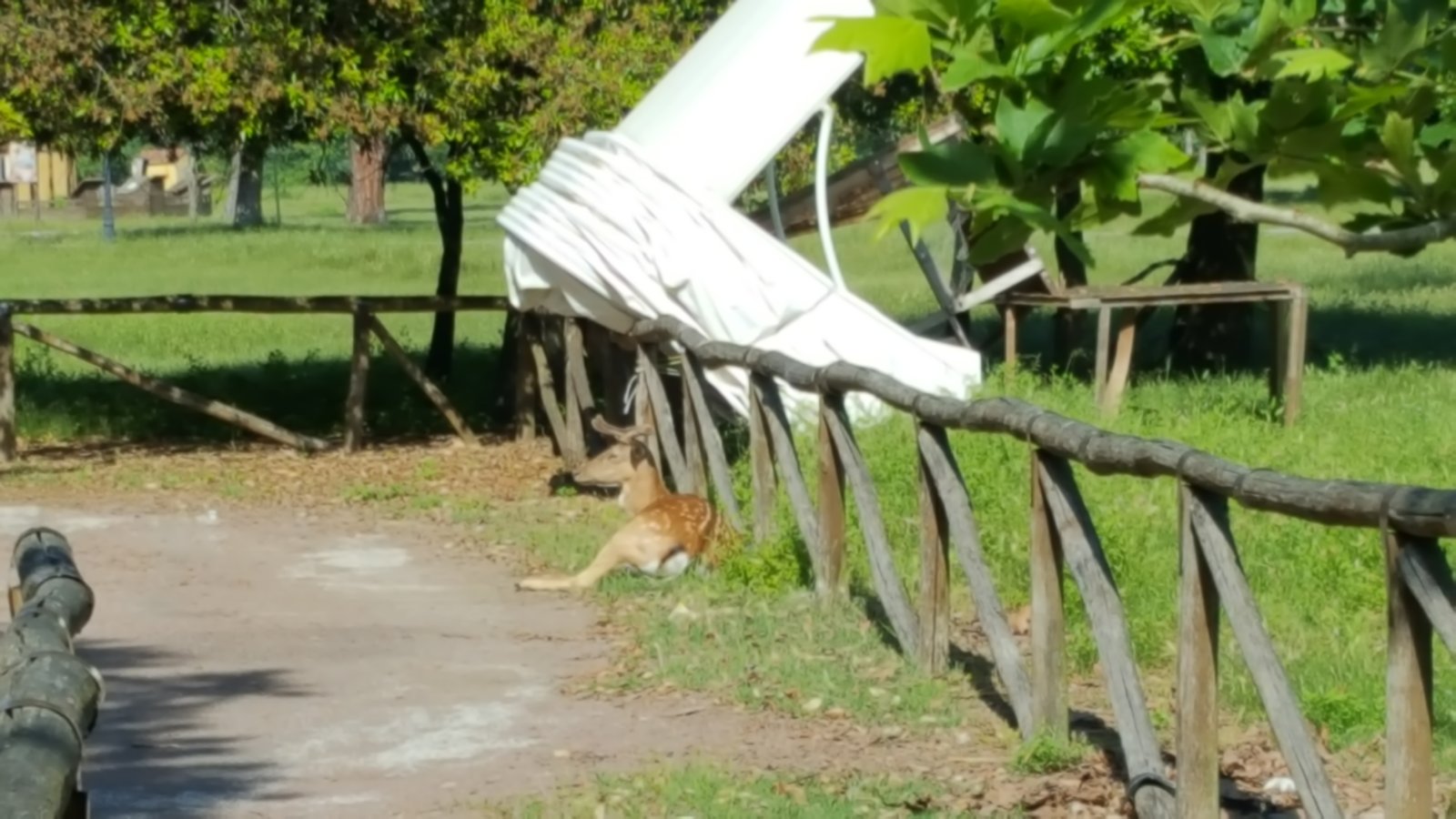 Parcul Natural San Rossore - Provincia di Pisa | Secret World Trip Planner