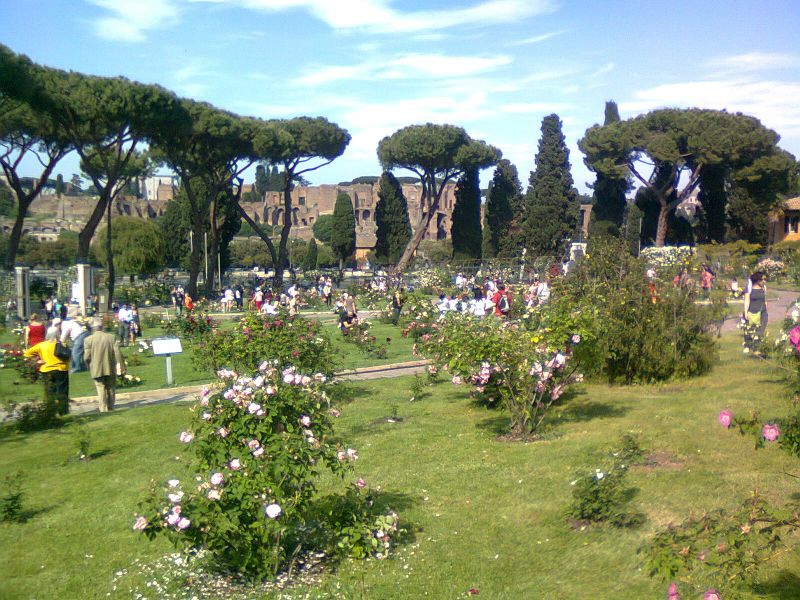 Roseto comunale all'aventino - Roma | Secret World Trip Planner