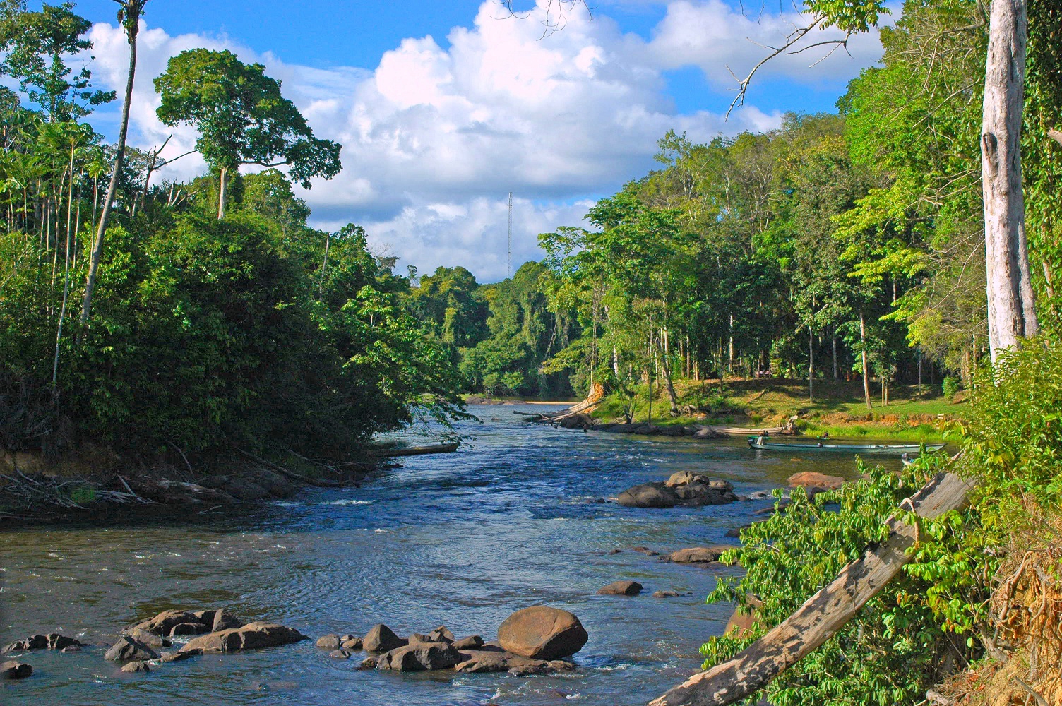 Surinam-gambar - Paramaribo | Secret World Trip Planner