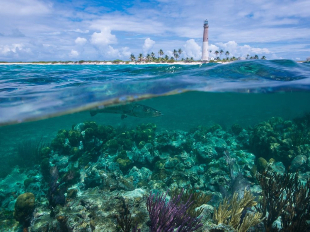 Parco nazionale di Biscayne - Florida | Secret World Trip Planner