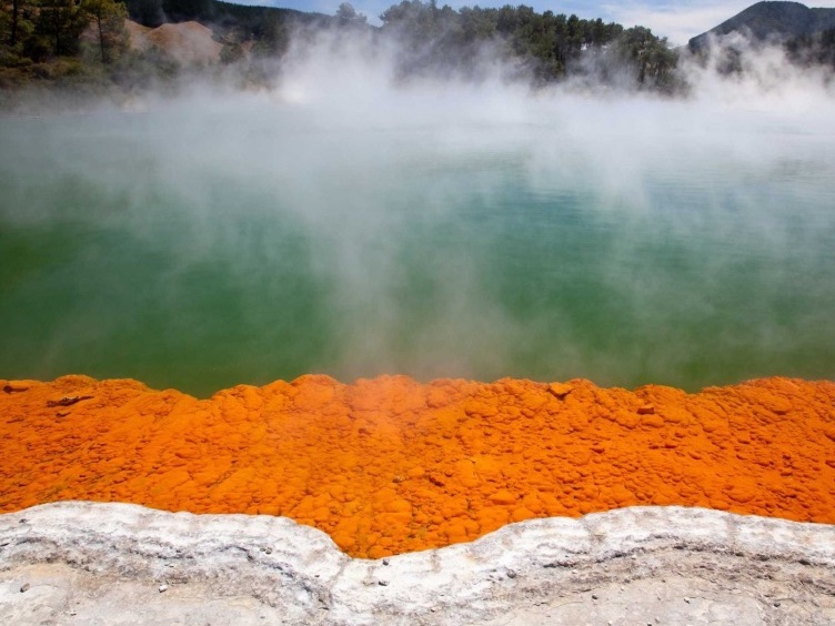 Rotorua Hot springs New Zealand - Terume Hot Spring Resort | Secret World Trip Planner