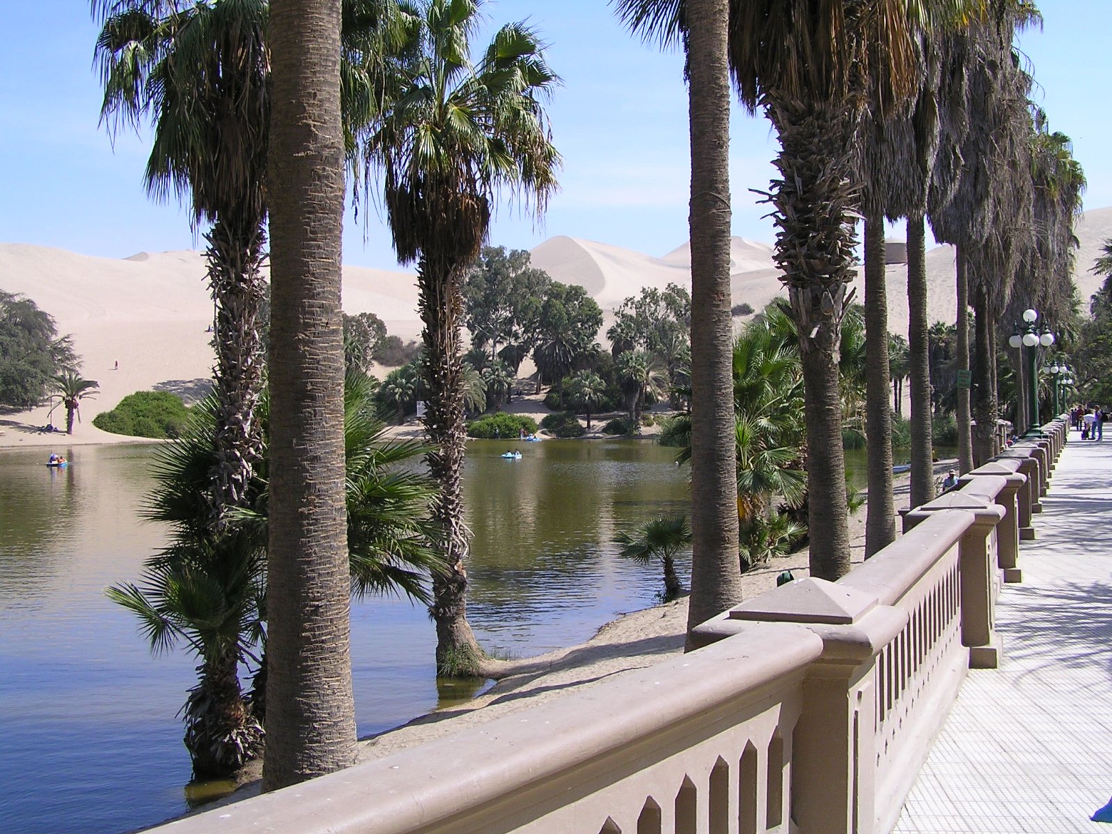 Nascondiglio in una piccola oasi circondata da dune a Huacachina, Perù
In Sud-Ovest - Huacachina | Secret World Trip Planner