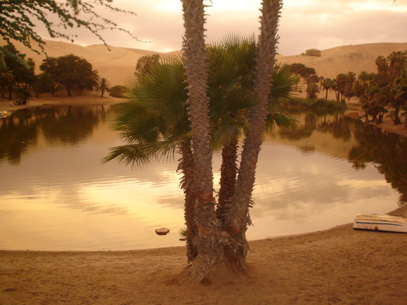 Nascondiglio in una piccola oasi circondata da dune a Huacachina, Perù
In Sud-Ovest - Huacachina | Secret World Trip Planner