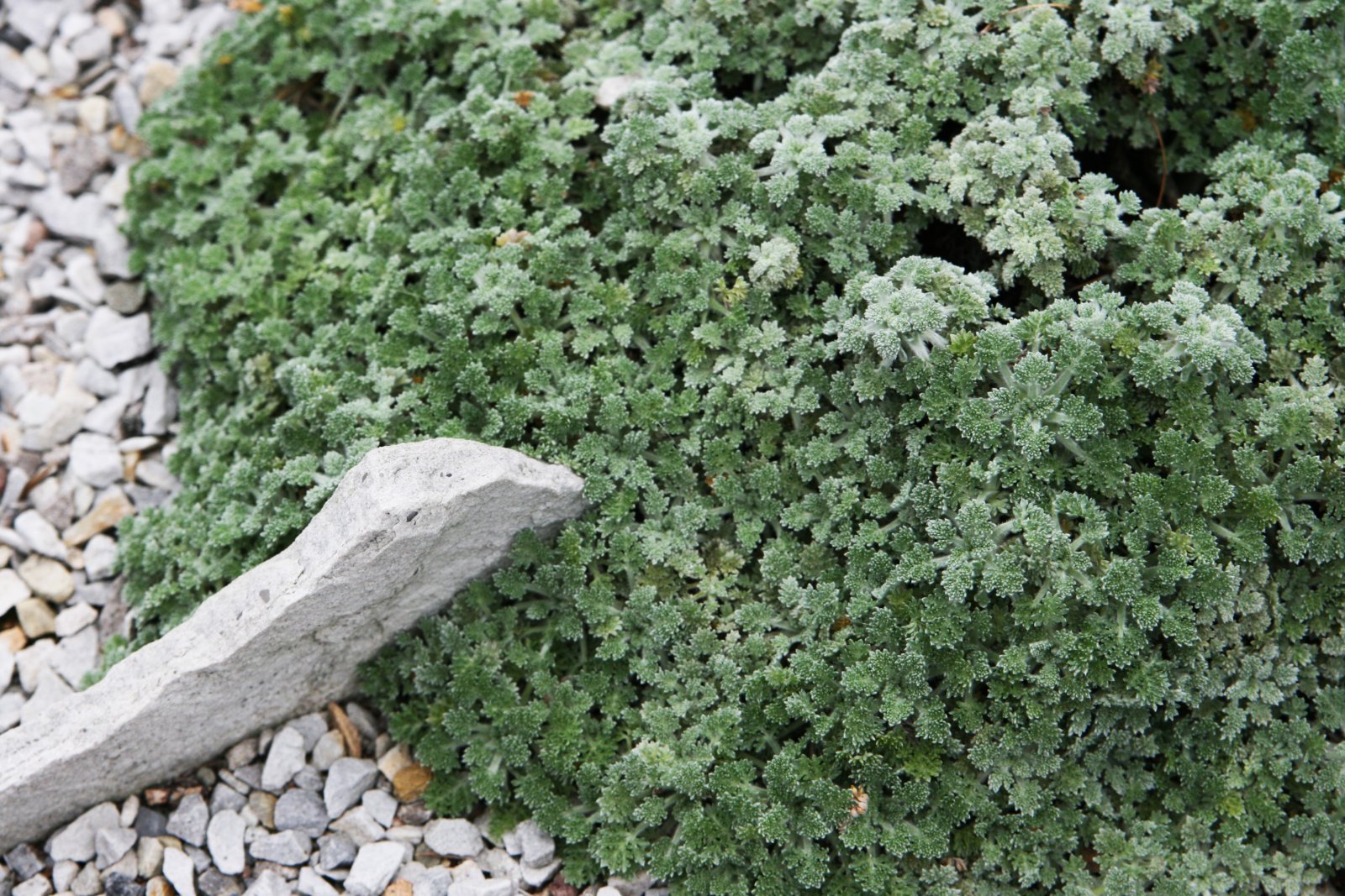 Montreal Botanical Garden, Canada - Montréal | Secret World Trip Planner