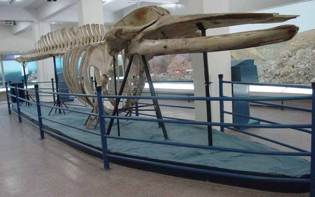 1758620893212794646168d26cdd4aa5f - 全球最大的旅行指南