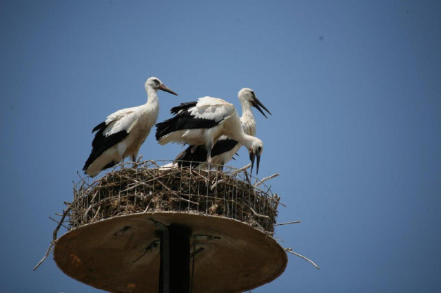 175862175690625547668d2703c852aa - 全球最大的旅行指南