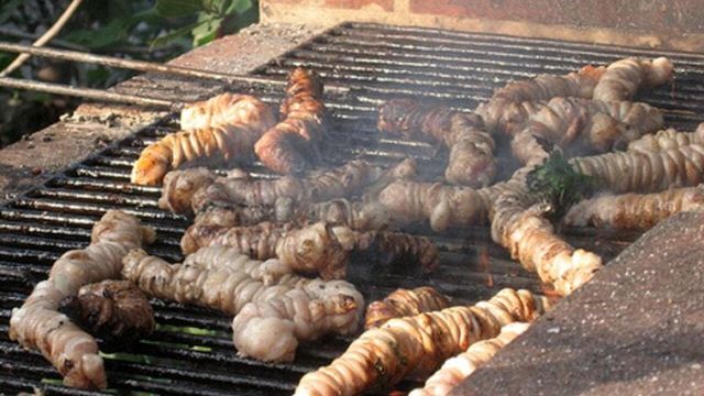 1758622508134627098768d2732ca2c66 - 全球最大的旅行指南