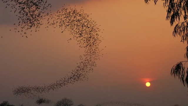 175862332113388197068d2765993388 - 全球最大的旅行指南