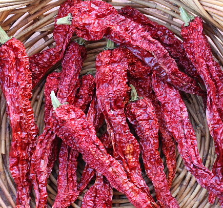 175863025970311865568d2917301612 - 全球最大的旅行指南