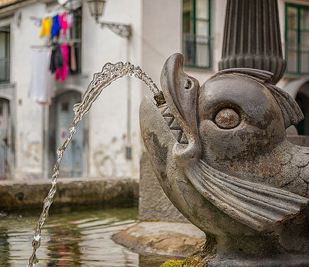 michaelharrisphotographernet - 全球最大的旅行指南