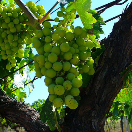 1758631087184088897568d294af7c0ce - 全球最大的旅行指南