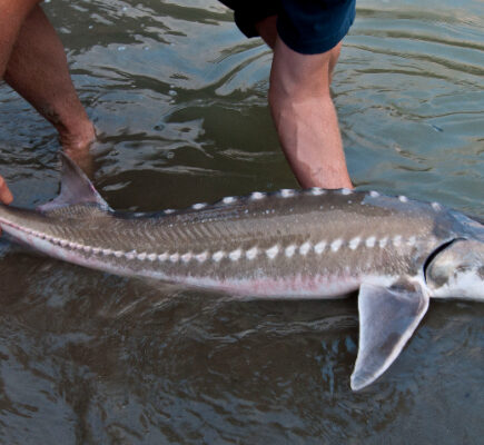 1758632616110102598268d29aa8887c7 - 全球最大的旅行指南