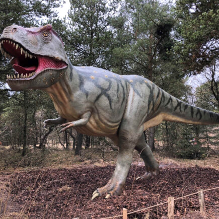 175863267330751228668d29ae17ef74 - 全球最大的旅行指南