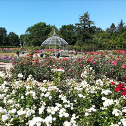 175863268951446414968d29af1a3dc2 - 全球最大的旅行指南